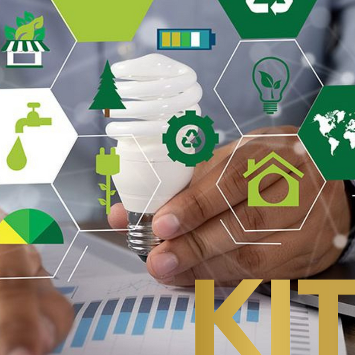 KitKing's Sustainable Journey: Small Business, Big Impact
