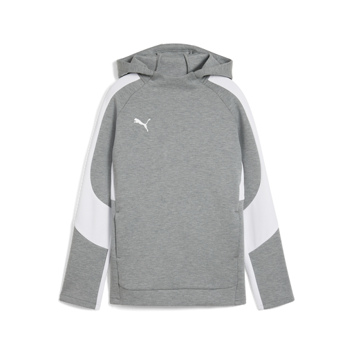 Puma Team EVOSTRIPE 25 Hoody in grey