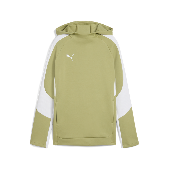 Puma Team EVOSTRIPE 25 Hoody in green