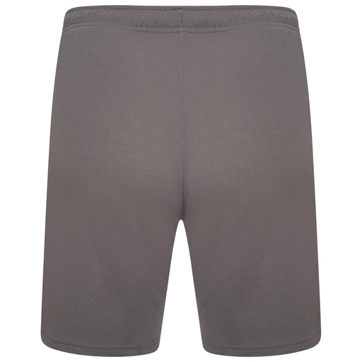 Puma Team Rise Shorts in Smoked Pearl/White