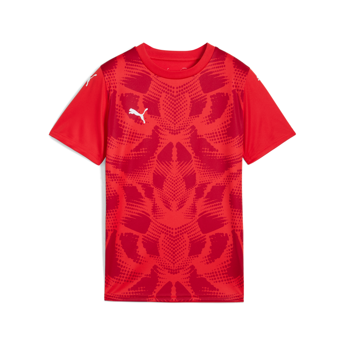 Puma Team ULTIMATE 25 Jersey in red