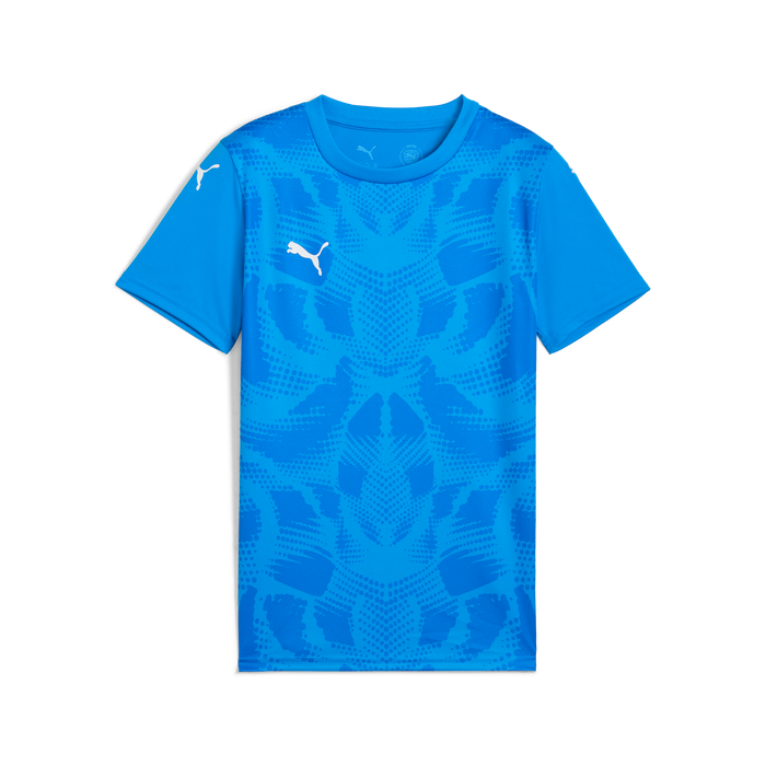 Puma Team ULTIMATE 25 Jersey in blue