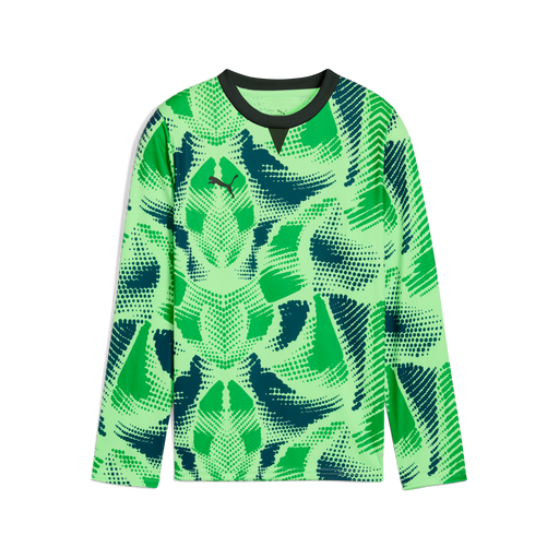 Puma Team TARGET 25 Goalkeeper Long Sleeve Jersey in green