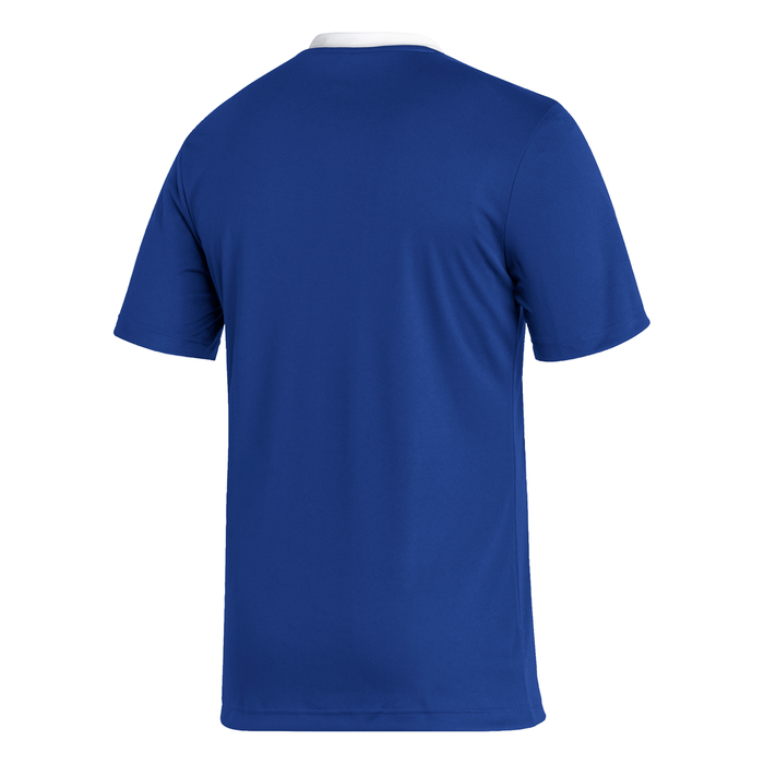 Adidas Entrada 22 Shirt