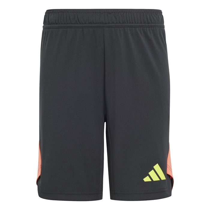 Adidas Tiro 24 Pro GK Shorts