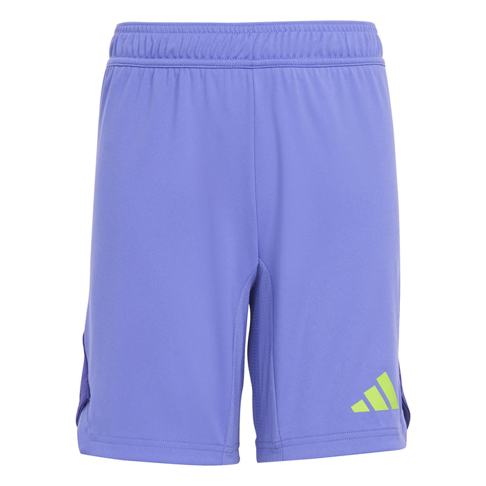 Adidas Tiro 24 Pro GK Shorts
