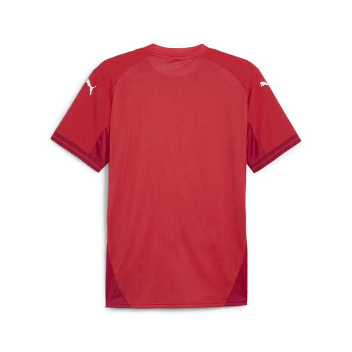 Puma Team Final Short Sleeve Shirt in red
