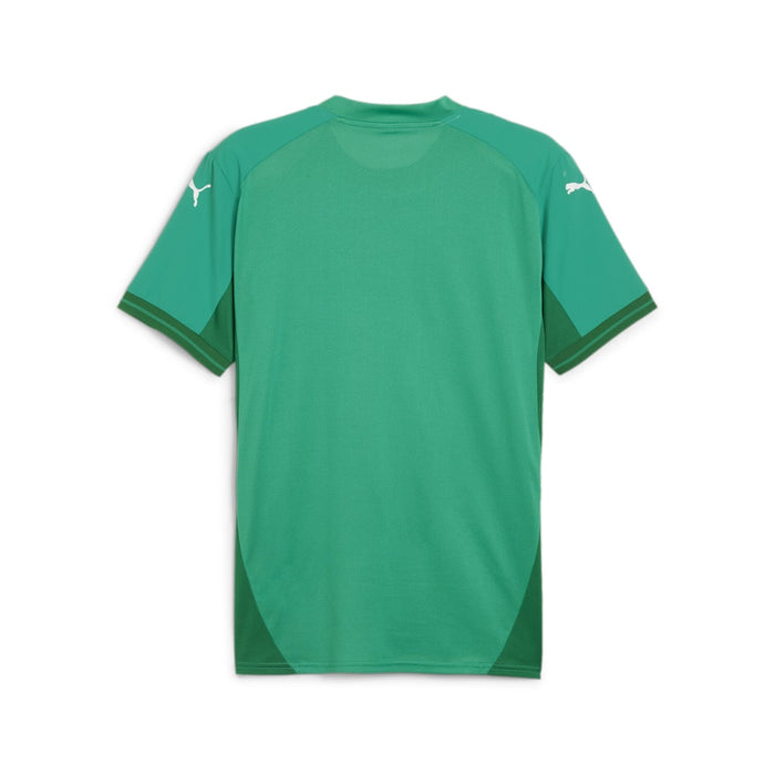 Puma Team Final Short Sleeve Shirt in green