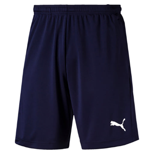 Puma Liga Training Shorts in peacoat