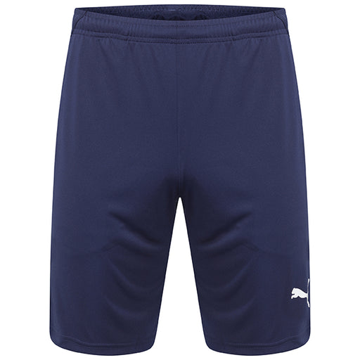Puma Liga Training Shorts in peacoat