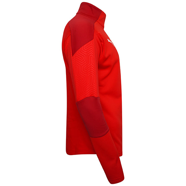 Puma TeamFINAL Training Fleece in red
