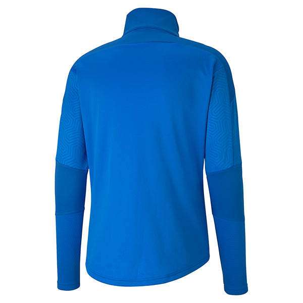 Puma TeamFINAL Training Fleece in blue