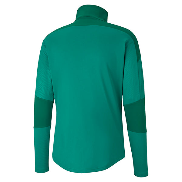 Puma TeamFINAL Training Fleece in green