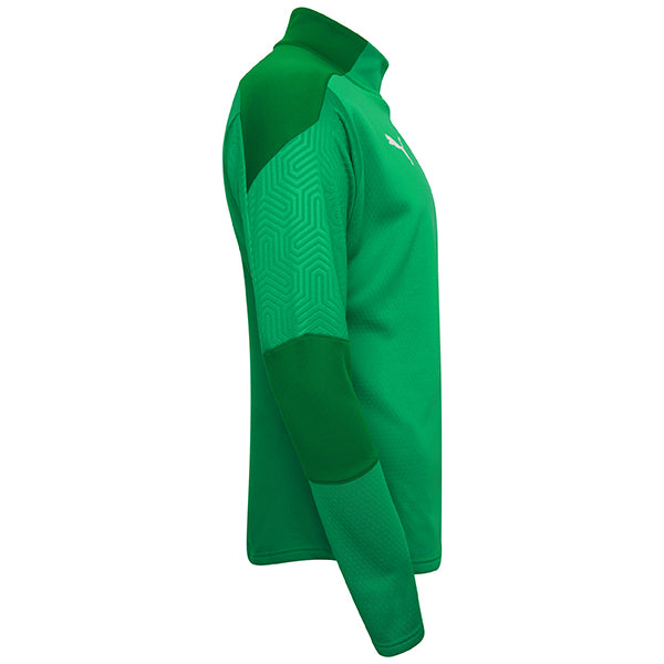 Puma TeamFINAL Training Fleece in green