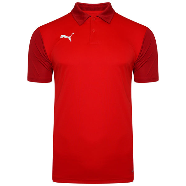Puma TeamGOAL Sideline Polo