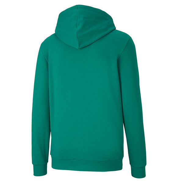 Puma TeamGOAL Casuals Hooded Jacket in green