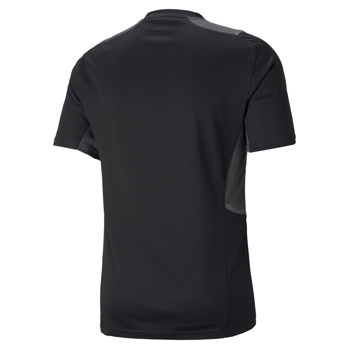 Puma TeamCUP Graphic Training Shirt 21