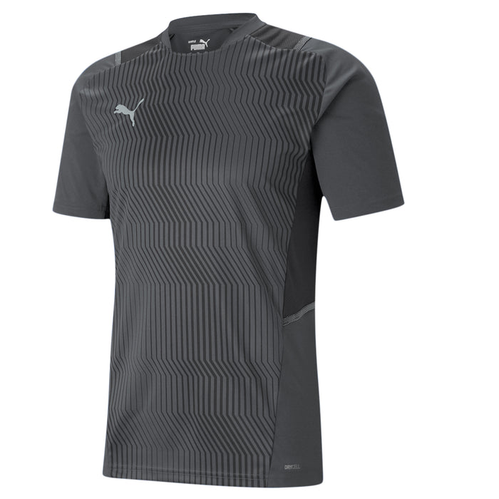 Puma TeamCUP Graphic Training Shirt 21