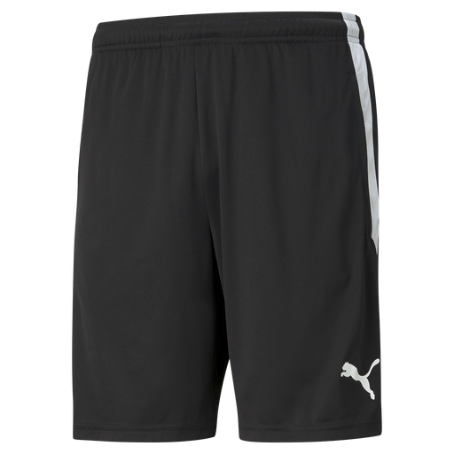 Puma Team Liga 25 Training Shorts in black