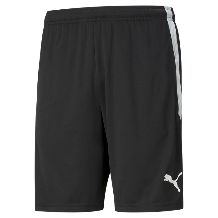 Puma Team Liga 25 Training Shorts in black
