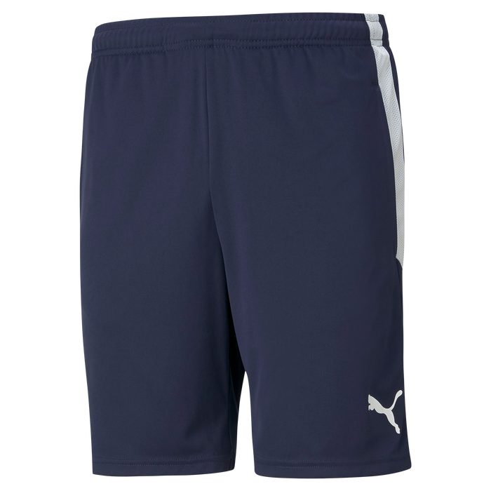 Puma Team Liga 25 Training Shorts in peacoat