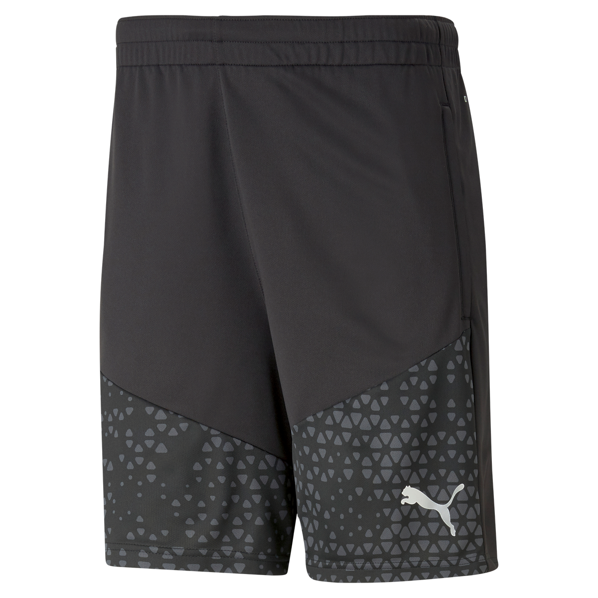 Puma Team Cup Training Shorts KitKing