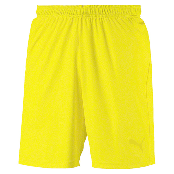 Puma TeamGOAL Shorts 21