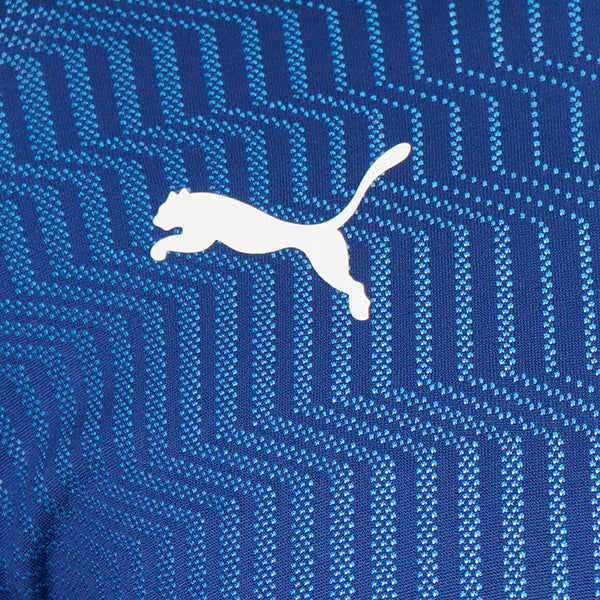 Puma TeamCUP Shirt 21