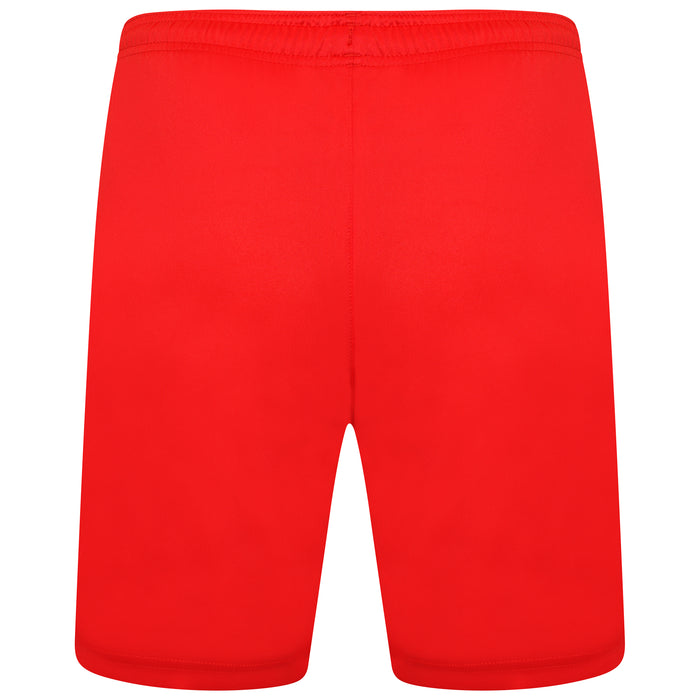 back of Puma Team Liga 25 Shorts in red