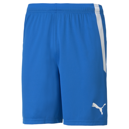 Puma Team Liga 25 Shorts in electric blue lemonade
