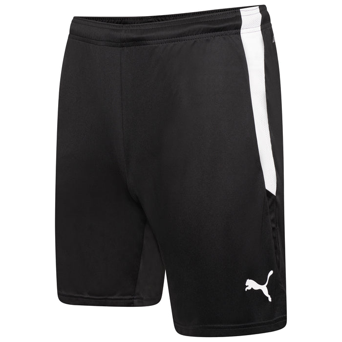 Puma Team Liga 25 Shorts in black