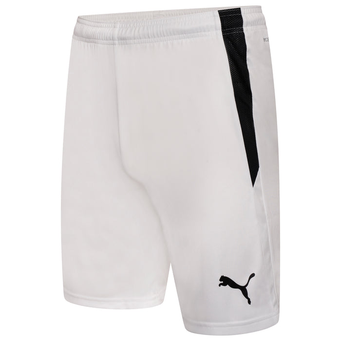 Puma Team Liga 25 Shorts in white