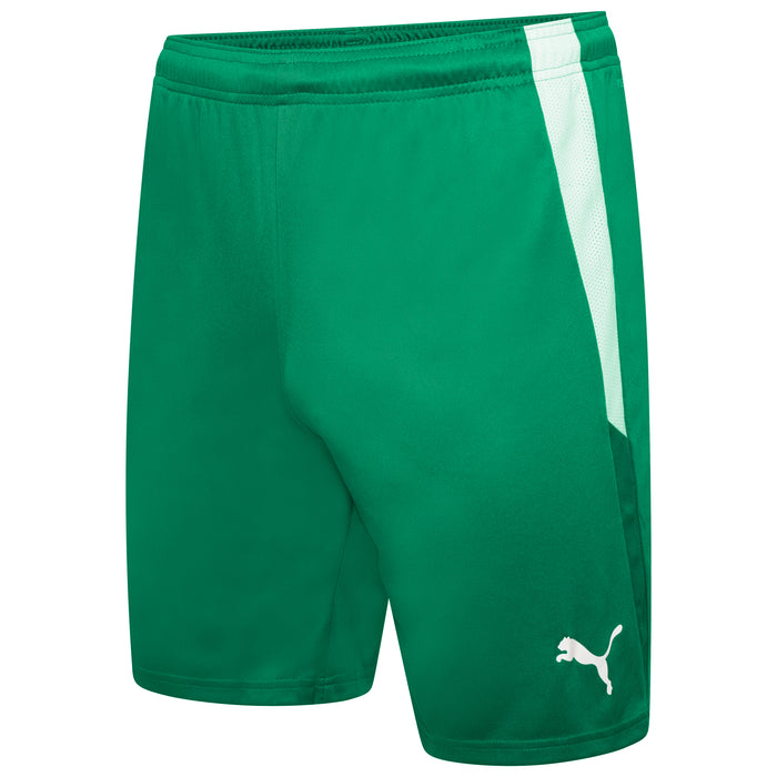 Puma Team Liga 25 Shorts