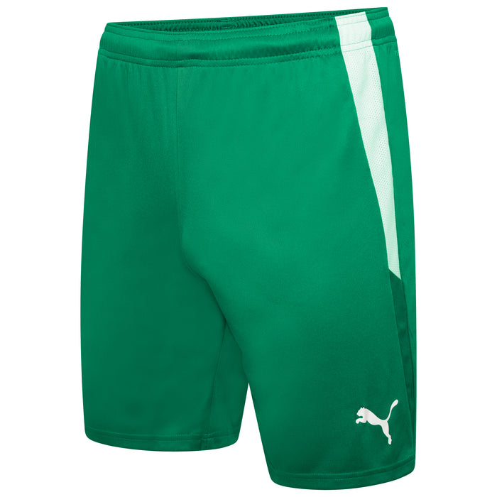 Puma Team Liga 25 Shorts in pepper green