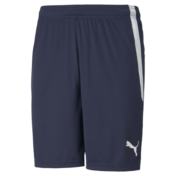 Puma Team Liga 25 Shorts