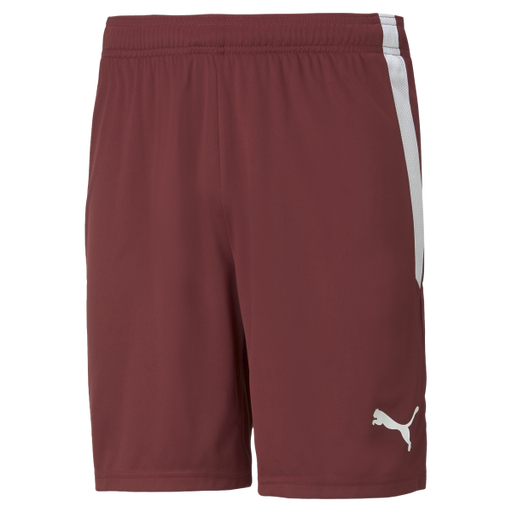 Puma Team Liga 25 Shorts in cordovan
