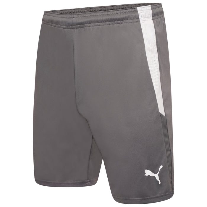 Puma Team Liga 25 Shorts in smoked pearl