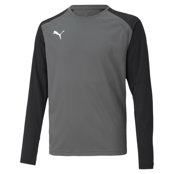 Puma Team Pacer Long Sleeve Goalkeeper Shirt in Smoked Pearl