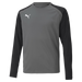 Puma Team Pacer Long Sleeve Goalkeeper Shirt in Smoked Pearl