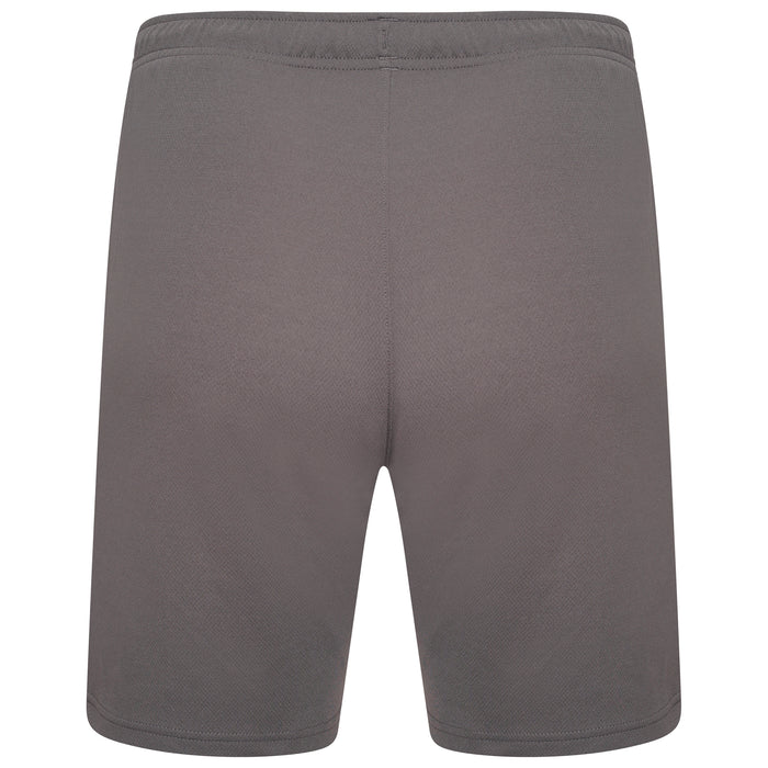 Puma Team Rise Shorts in Smoked Pearl/White