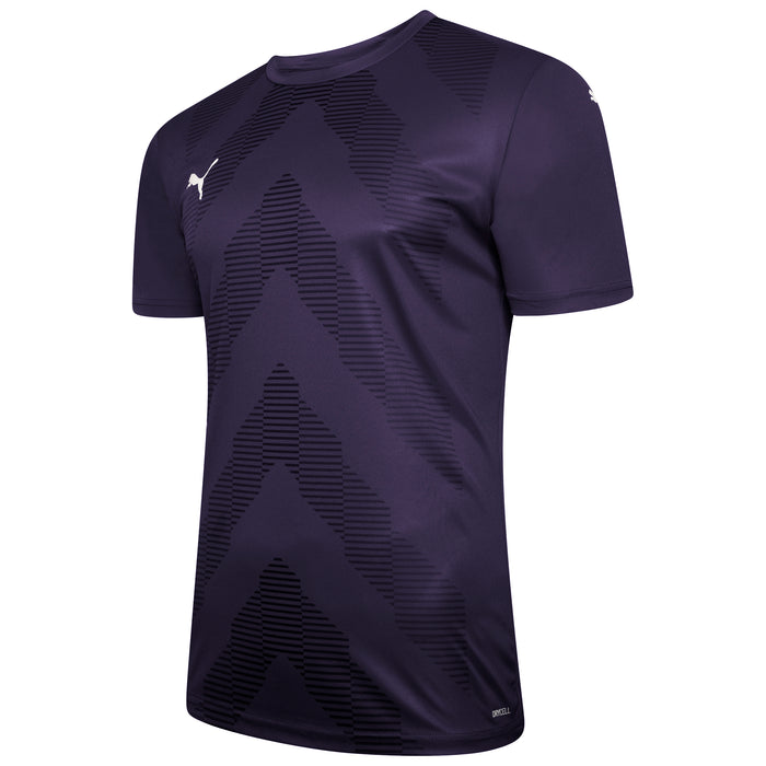Puma TeamGLORY Short Sleeve Goalkeeper Shirt