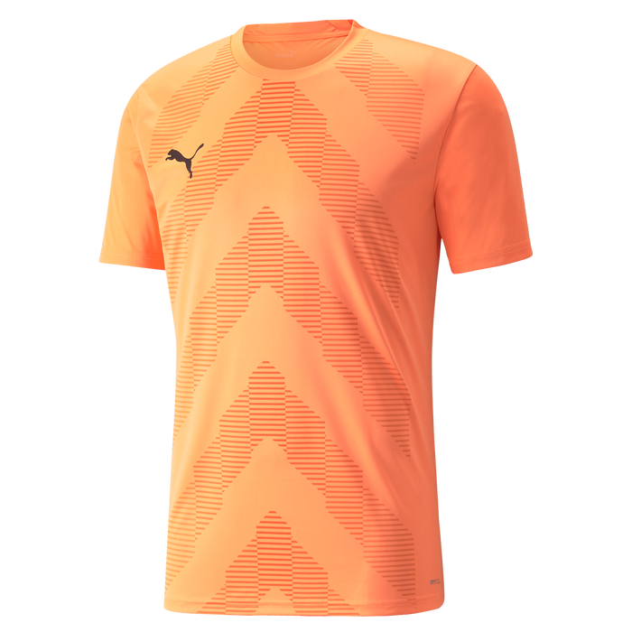 Puma TeamGLORY Short Sleeve Goalkeeper Shirt
