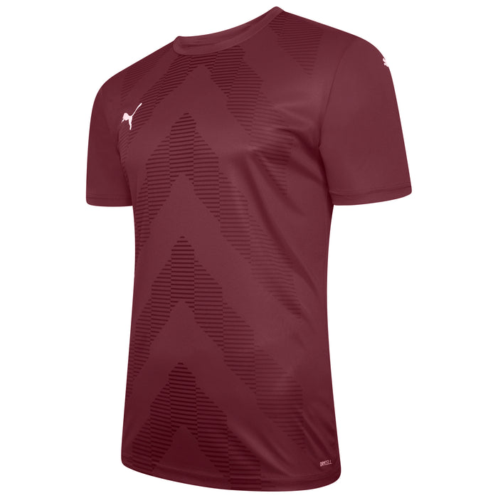 Puma TeamGLORY Short Sleeve Goalkeeper Shirt
