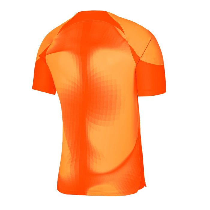 Nike Gardien IV Goalkeeper Jersey Short Sleeve