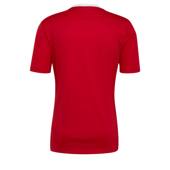 Adidas Entrada 22 Shirt