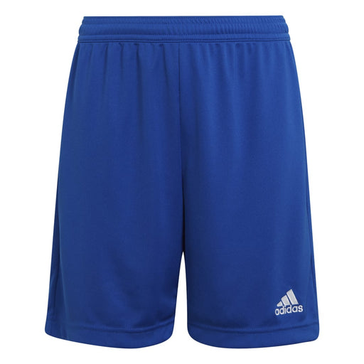 Adidas Entrada 22 Shorts in Team Royal Blue
