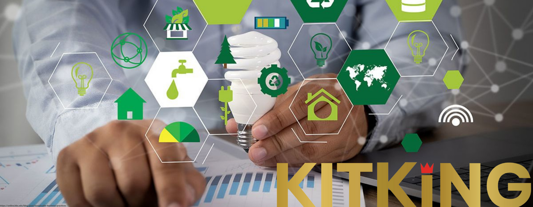 KitKing's Sustainable Journey: Small Business, Big Impact