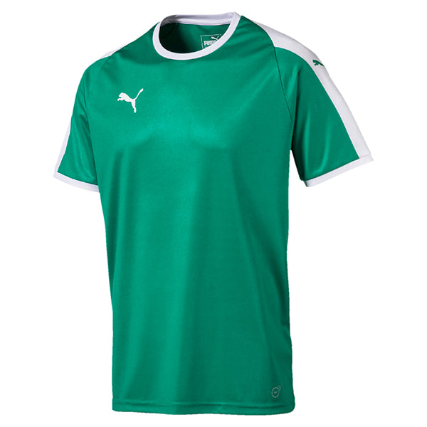 teamLIGA