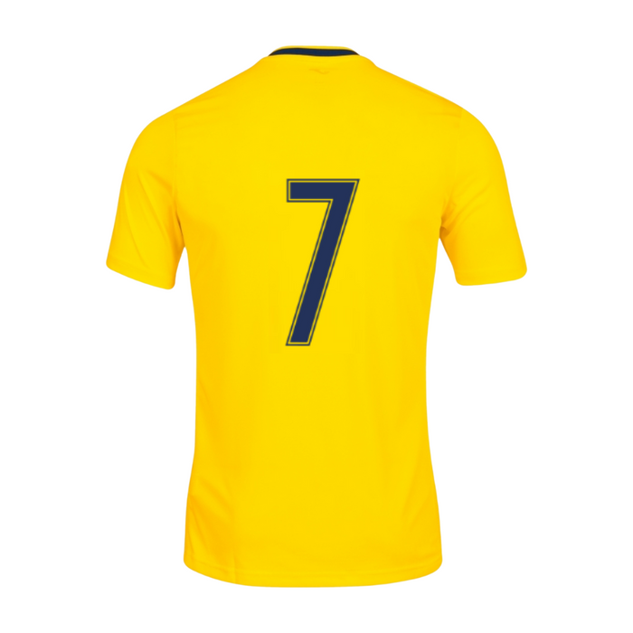 Wight Eagles F.C. Away Shirt