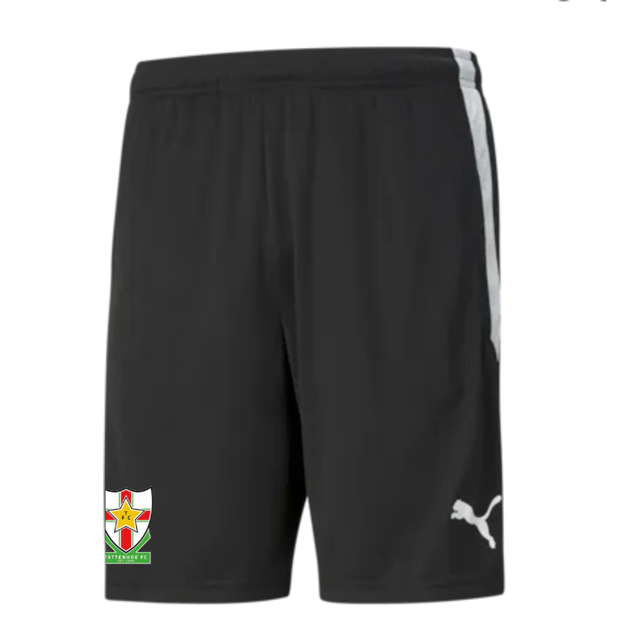 TFC Pocket Shorts